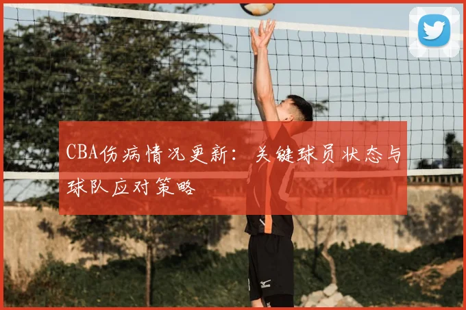 CBA伤病情况更新：关键球员状态与球队应对策略