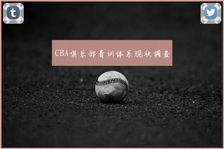CBA俱乐部青训体系现状调查