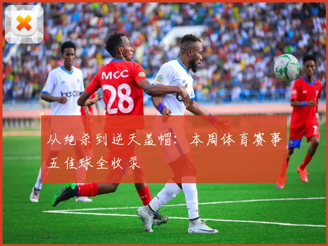 从绝杀到逆天盖帽：本周体育赛事五佳球全收录