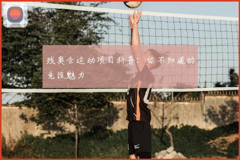 残奥会运动项目科普:你不知道的竞技魅力