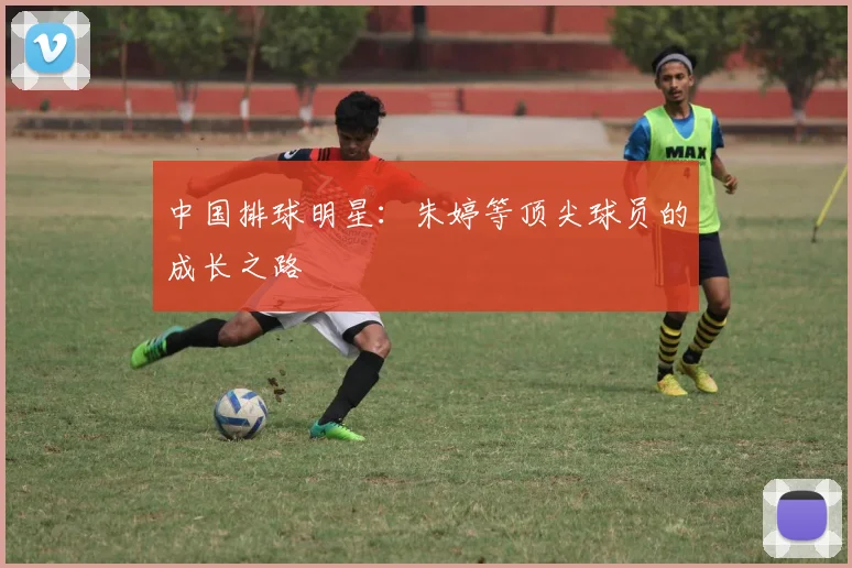 中国排球明星：朱婷等顶尖球员的成长之路